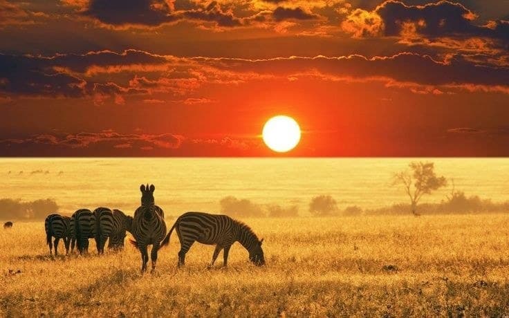 Reise nach Zentralafrikanische Republik