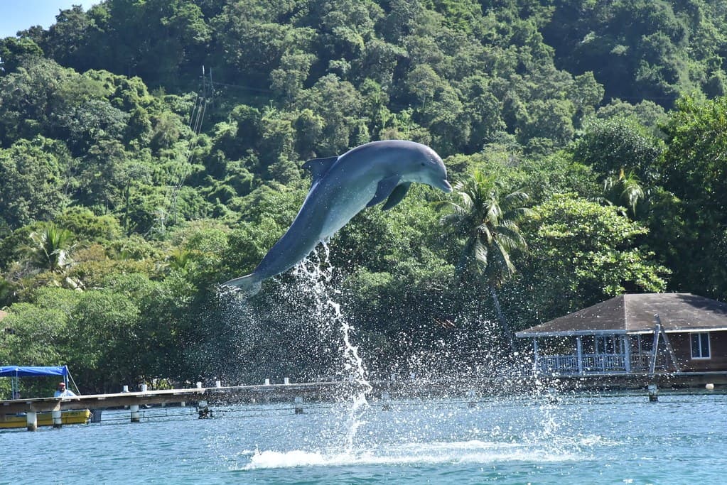 Reise nach Honduras