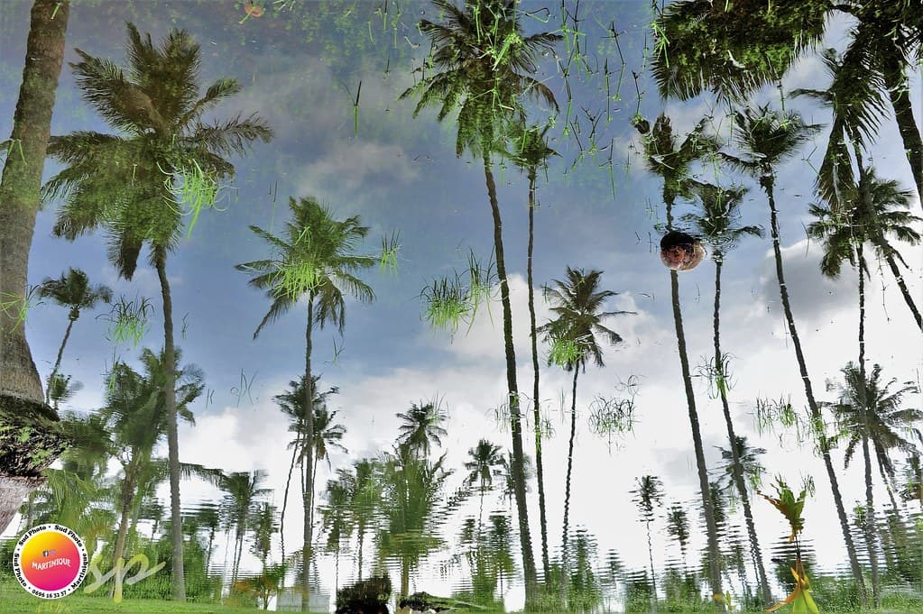 Reise nach Martinique