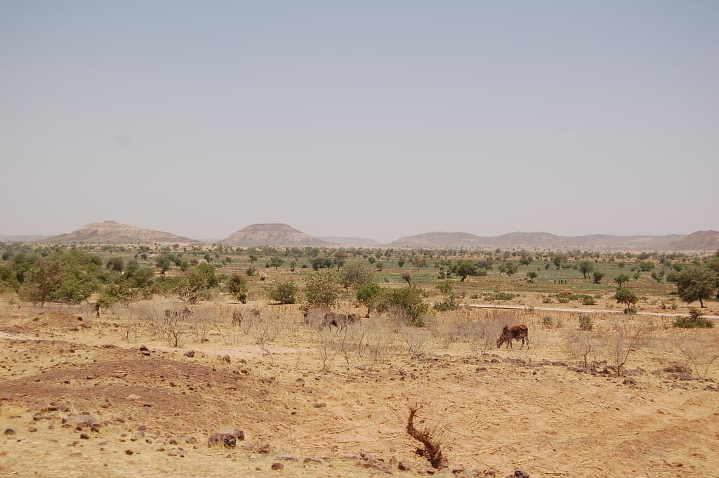 Reise nach Niger